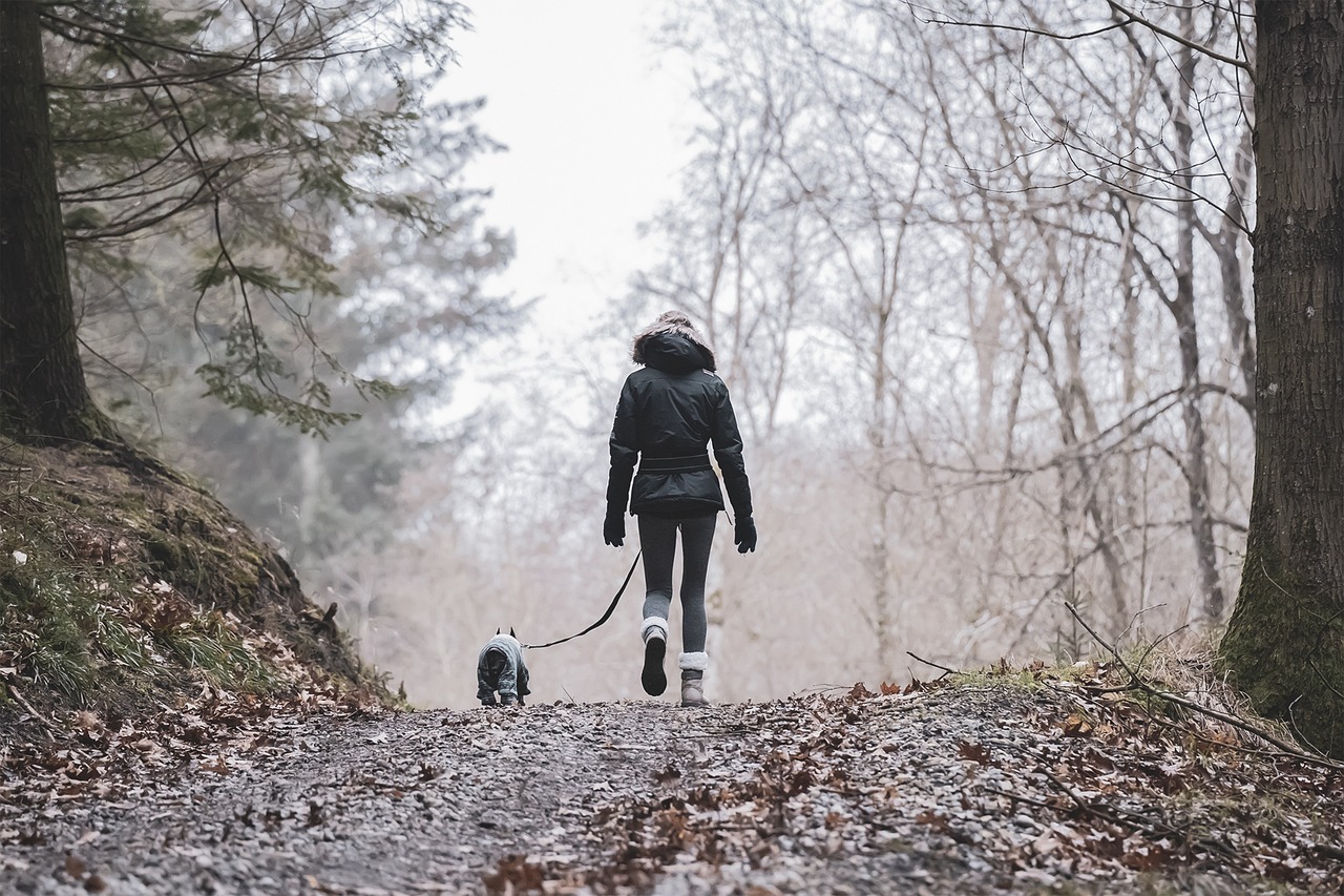 Rüyada Hiking Yapmak